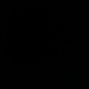 Meet your Posher, Leann